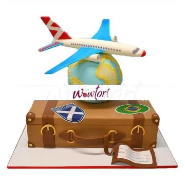 торт в форме самолета фото